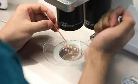 深圳打破偏见的生命礼赞：同性生子背后的爱与坚守