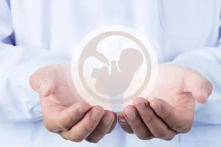 深圳科技点亮希望：试管代生背后的生命期待